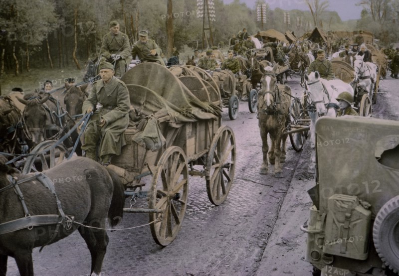 German Soldiers Riding in Carts and Wagons, Central Europe Campaign, Western Allied Invasion of Germany, 1945