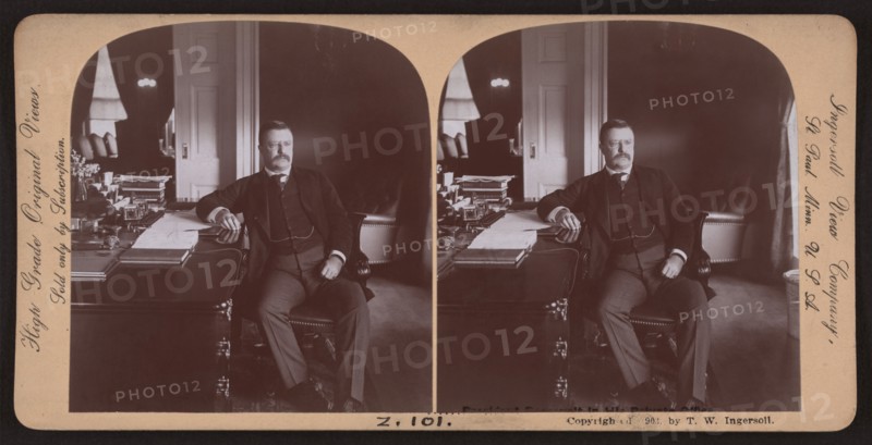 President Theodore Roosevelt at his Desk in the White House, Washington DC, USA, Stereo Card, T. W. Ingersoll, Ingersoll View Company, 1902