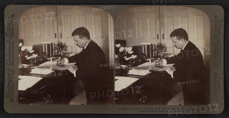 President Theodore Roosevelt Signing Bills, White House, Washington DC, USA, Stereo Card, Underwood & Underwood, 1903