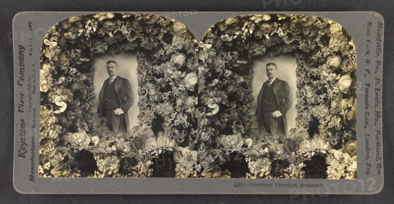 President Theodore Roosevelt, Portrait, Stereo Card, Keystone View Company, 1901