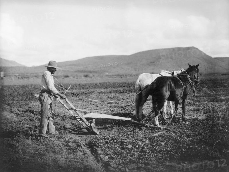 Man Plowing Field, Salt River Project, Sacaton, Arizona, USA, National Photo Company, 1910's