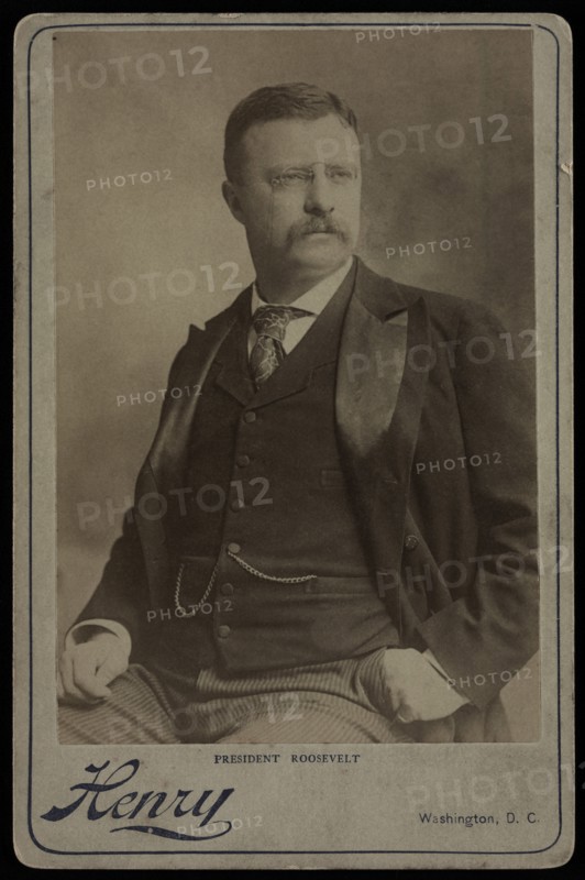 U.S. President Theodore Roosevelt, Seated Portrait by Henry, Washington DC, USA, early 1900's