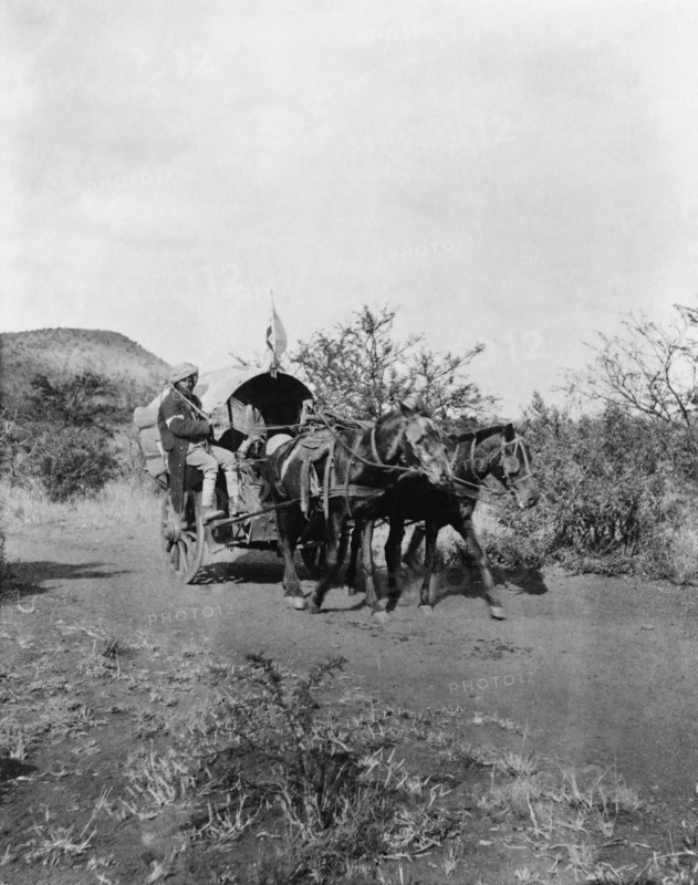 Hospital Cart used by British during Second Boer War, South Africa, 1900