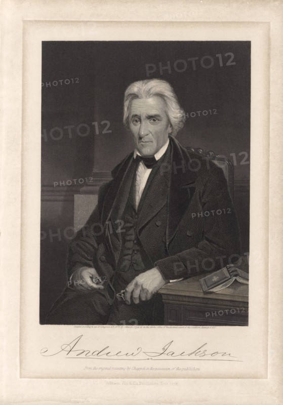 Andrew Jackson (1767-1845), Seventh President of the United States, Seated Portrait, Engraving from an Original Painting by Alonzo Chappel, Johnson, Fry & Co., 1870