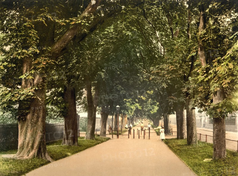 South Walk, Dorchester, England, UK, Photochrome Print, Detroit Publishing Company, 1905