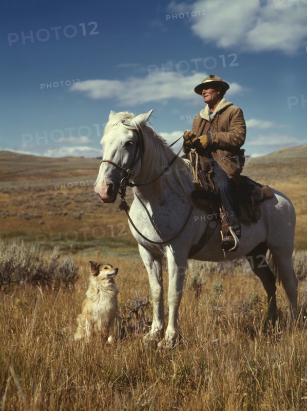 Shepherd with his Horse and Dog on Gravelly Range, Madison County, Montana, USA, Russell Lee, Office of War Information, August 1942