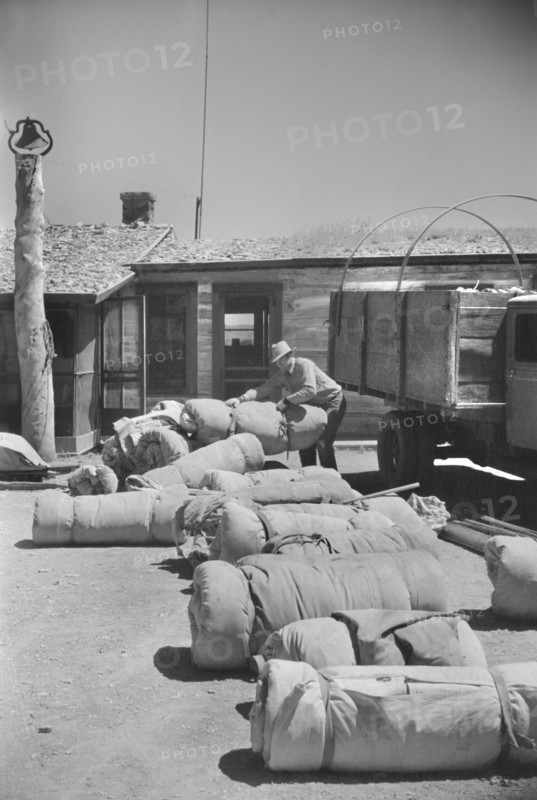 Bedrolls used in the Roundup, Quarter Circle U Ranch, Big Horn County, Montana, USA, Arthur Rothstein, Farm Security Administration, June 1939