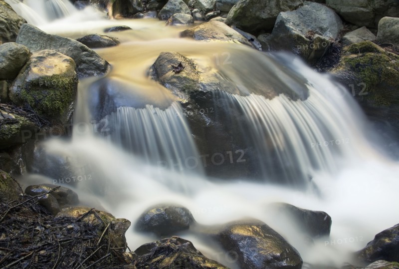 Flowing Creek