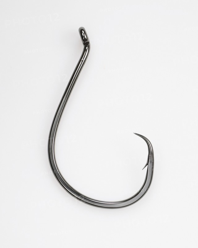 Fishing Hook