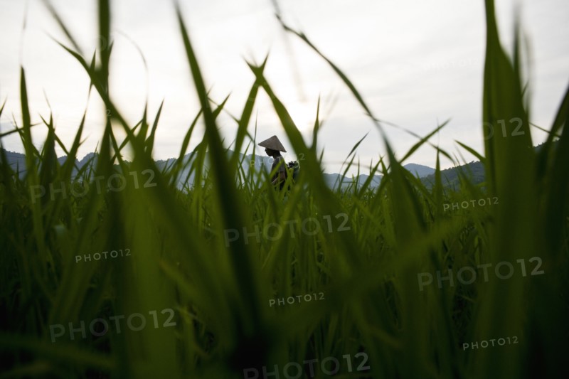 Worm's Eye View of Farm Land