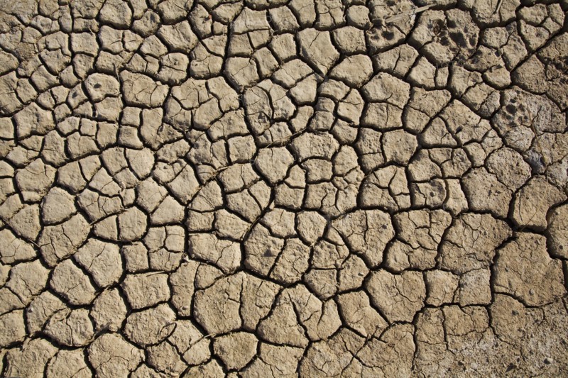Cracked and Dry Desert Ground, High Angle View