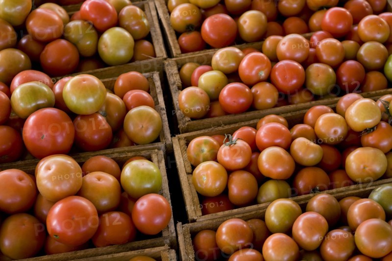 Crates of Tomatoes
