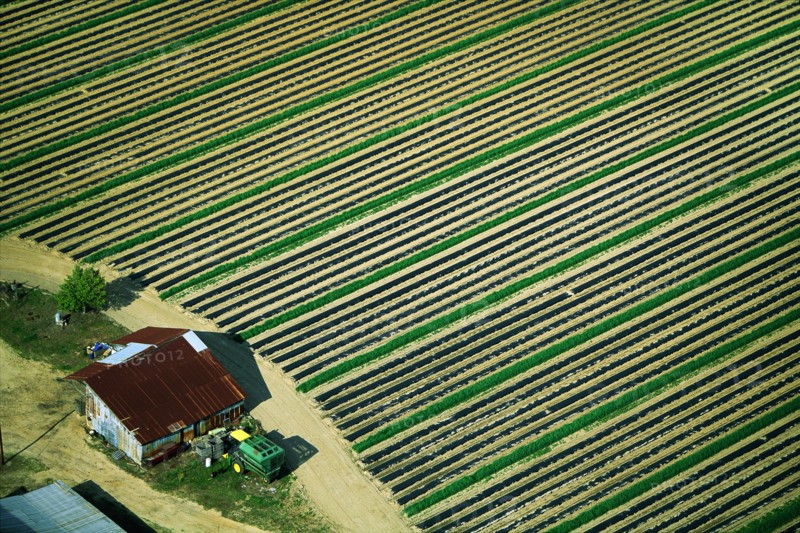 Farm Lines, high Angle View