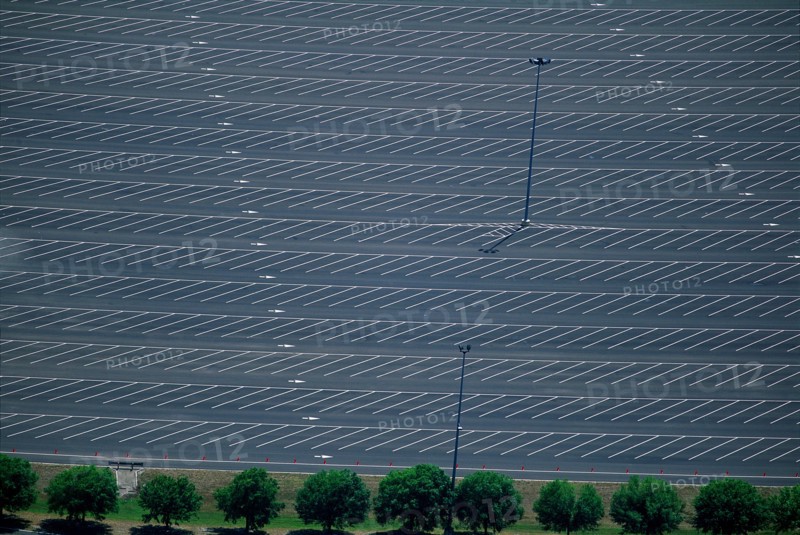 Empty Parking Lot and Row of Trees, High Angle View
