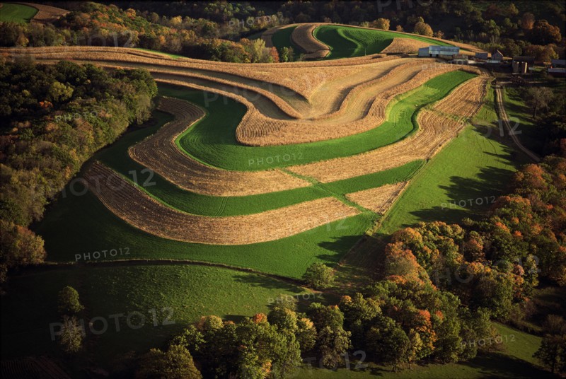 Sculpted Wheat Fields, High Angle View