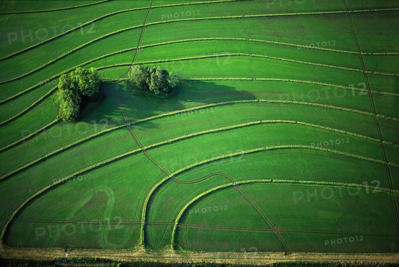 Green Fields Abstract, High Angle View