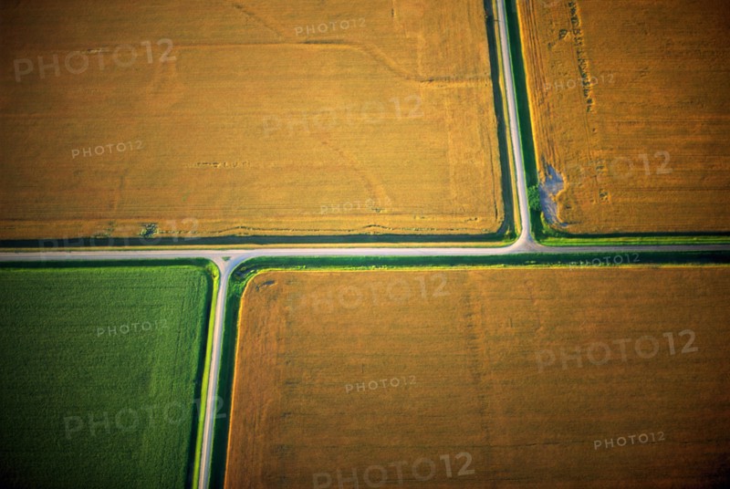 Tan Fields, High Angle View