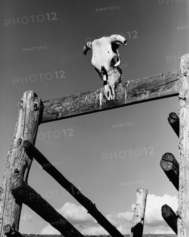 Skull and Sky