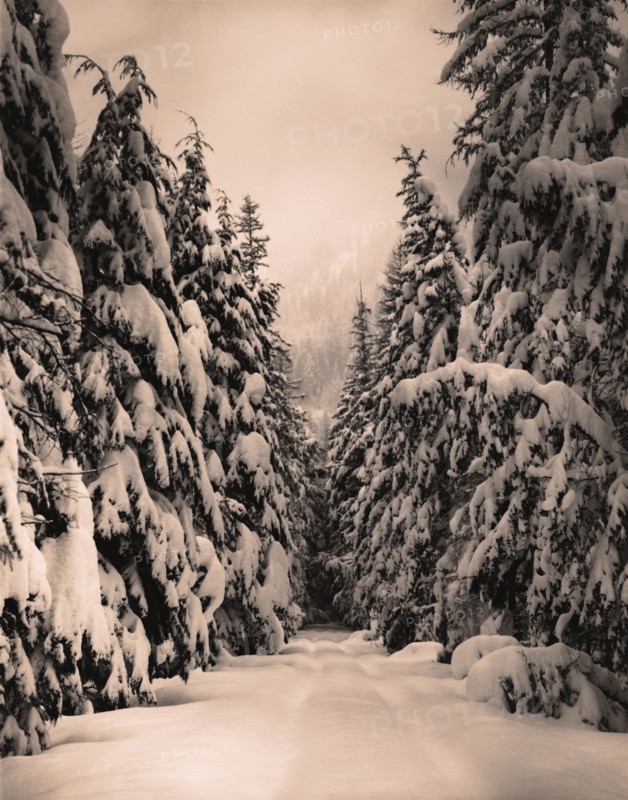 Snow Covered Road