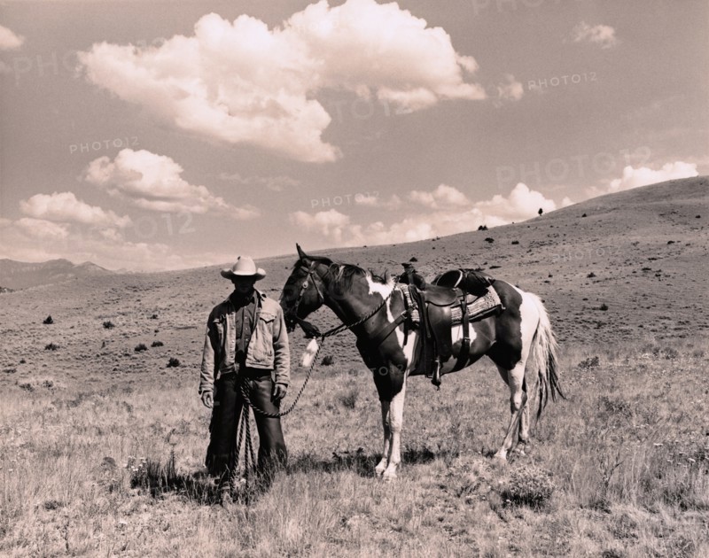 Cowboy and Horse