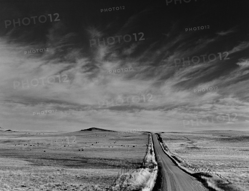 Lonely Country Road