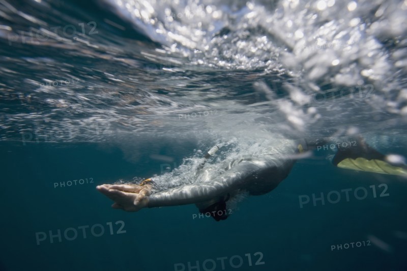 Free Diver Entering Water