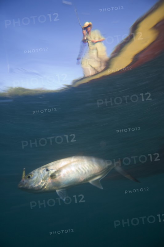 Underwater View of Man Catching Fish