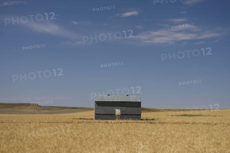 Single Farm Building in Wheat Field