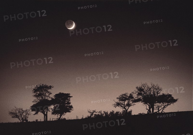 Waxing Moon