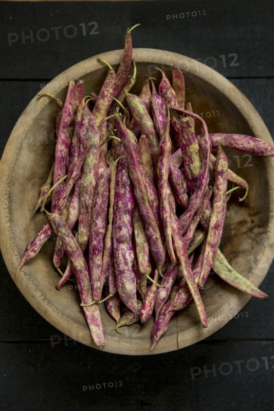 Pinto Bean Pods