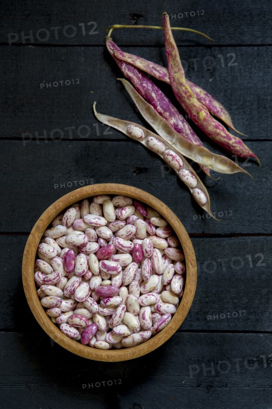 Raw Pinto Beans in Bowl next to Bean Pods