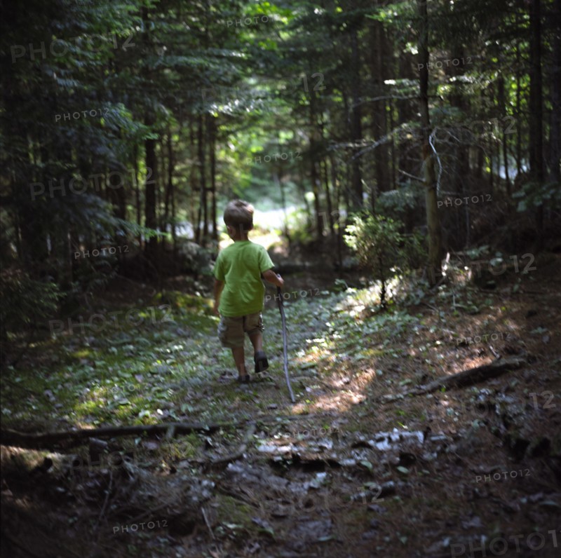 Young Boy with Stick Walking Through Woods