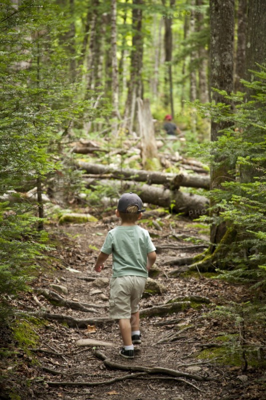 Young Boy Hiking on Path in Woods, Rear View