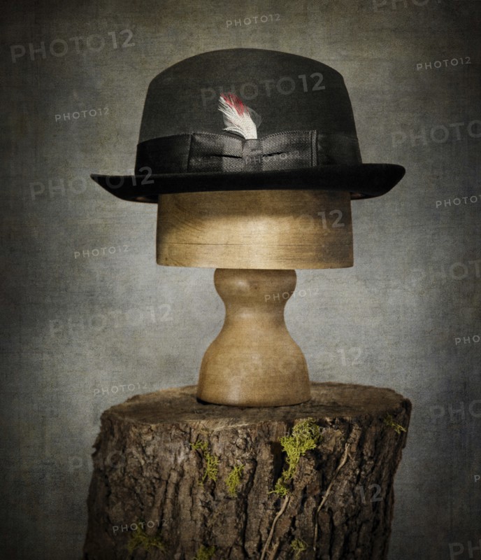 Men’s Bowler Hat on Tree Stump