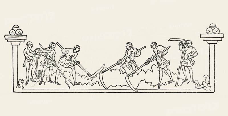 Anglo-Saxon Calendar, July, pre-Norman Conquest of 1066, Illustration from John Cassell's Illustrated History of England, Vol. I from the earliest period to the reign of Edward the Fourth, Cassell, Petter and Galpin, 1857