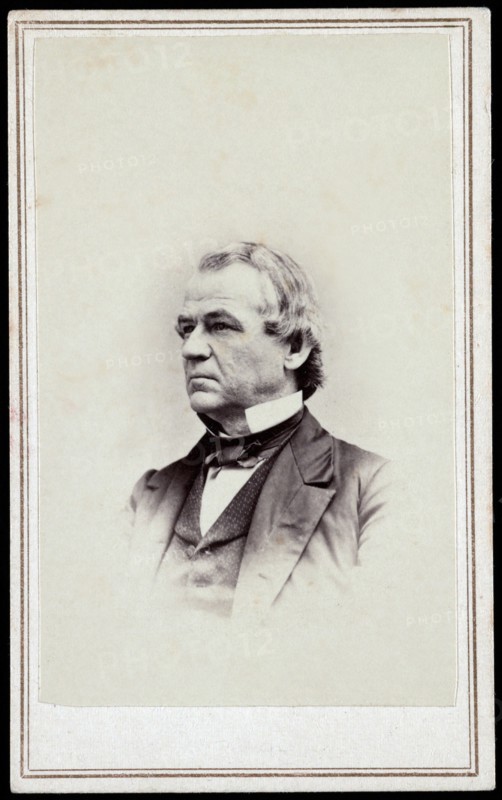 Andrew Johnson (1808-75), 17th President of the United States, Head and Shoulders Portrait
