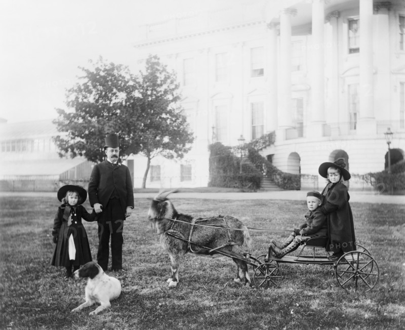 Major Russell Harrison, son of U.S. President Benjamin Harrison, with his daughter Marthena and nephew and niece (Benjamin "Baby" and Mary McKee) on a cart pulled by the presidential pet goat "Whiskers" at the White House, Washington DC, USA, Photograph by Francis Benjamin Johnston between 1889 and 1893