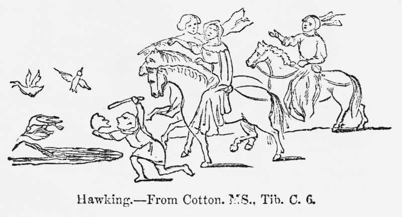Hawking, from Cotton, MS., Tib. C. 6, Group of Men during the Sport of Hawking, Training Hawks to Catch other Birds, Illustration from John Cassell's Illustrated History of England, Vol. I from the earliest period to the reign of Edward the Fourth, Cassell, Petter and Galpin, 1857