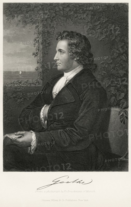 Johann Wolfgang von Goethe (1749-1832), German Writer and Statesman, Seated Portrait, Steel Engraving, Portrait Gallery of Eminent Men and Women of Europe and America by Evert A. Duyckinck, Published by Henry J. Johnson, Johnson, Wilson & Company, New York, 1873