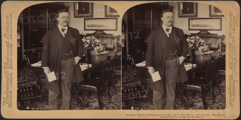 President Theodore Roosevelt in his office, the Cabinet Room, White House, Washington, USA, Stereo Card, Underwood & Underwood, 1902