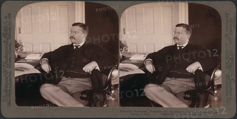 Theodore Roosevelt, President, at his desk in the White House, Washington, USA, Stereo Card, Underwood & Underwood, 1903