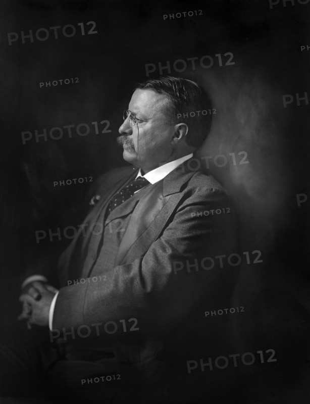 Theodore Roosevelt (1858-1919) 26th President of the United States 1901-09, Half-Length Profile Portrait, Harris & Ewing, 1907