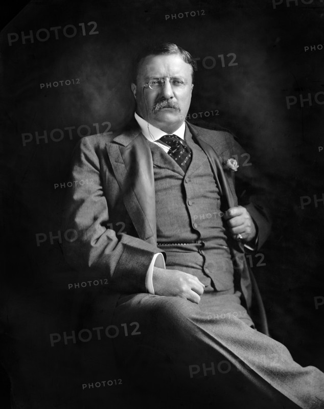Theodore Roosevelt (1858-1919) 26th President of the United States 1901-09, Three-Quarter Length Seated Portrait, Harris & Ewing, 1907