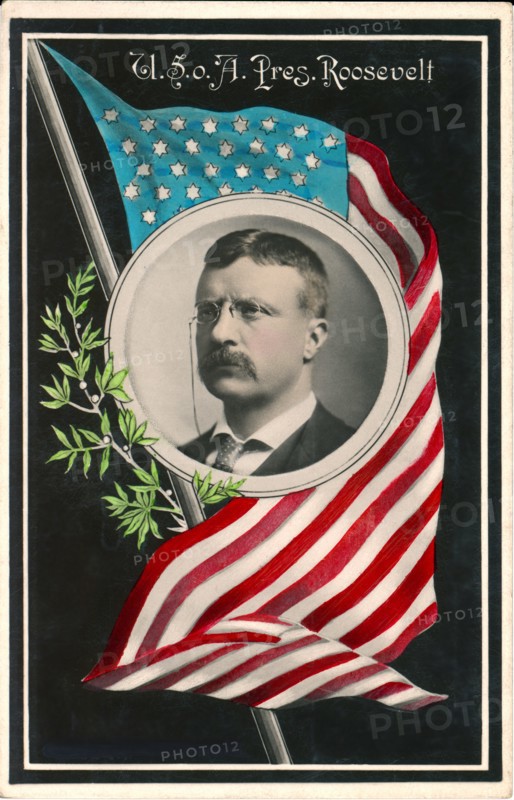 U.S. President Theodore Roosevelt, Head and Shoulders Portrait, Hand-Colored Postcard, 1907