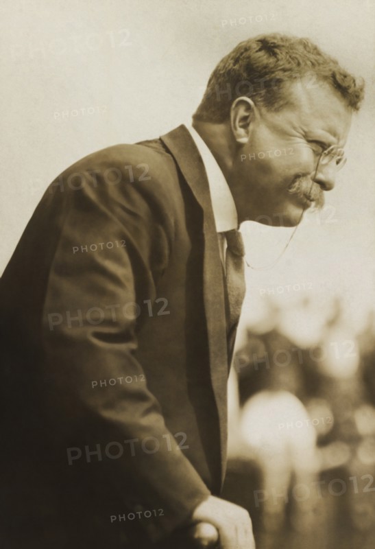 Theodore Roosevelt (1858-1919), 26th President of the United States 1901-09, Half-Length Profile Portrait, November 1911