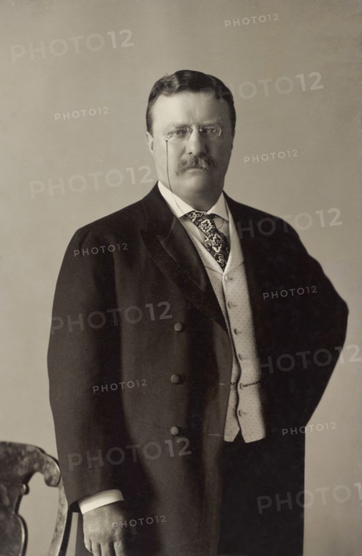 Theodore Roosevelt (1858-1919), 26th President of the United States 1901-09, Half-Length Portrait, Photograph by Pach Bros., May 11, 1904