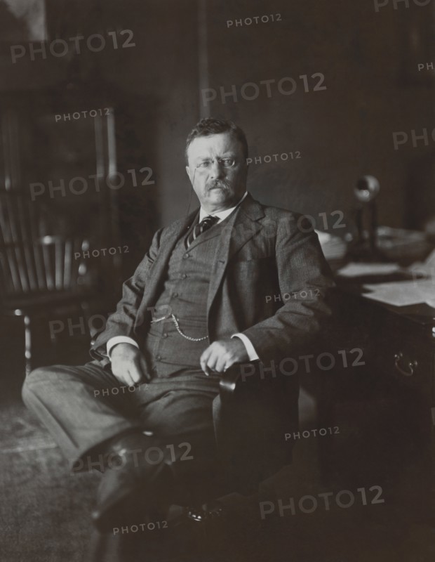 Theodore Roosevelt (1858-1919), 26th President of the United States 1901-09, Three-quarter Length Seated Portrait, Photograph by Moffett Studio, 1910