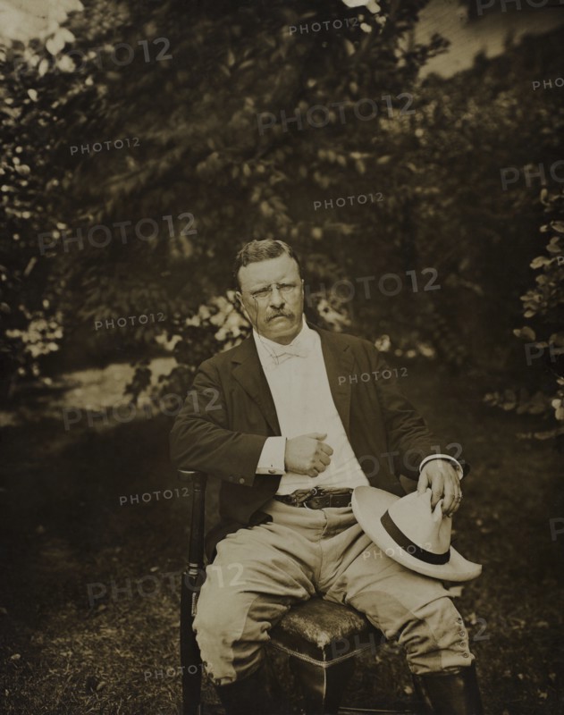 Theodore Roosevelt (1858-1919), 26th President of the United States 1901-09, Three-quarter Length Seated Portrait Outdoor, July 1903