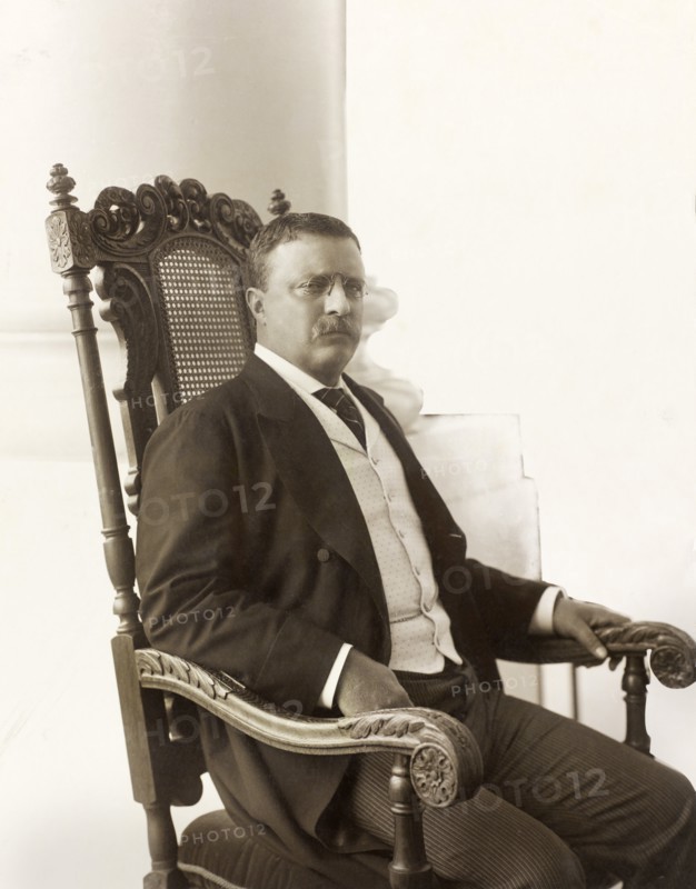 Theodore Roosevelt (1858-1919), 26th President of the United States 1901-09, Three-quarter Length Seated Portrait on Porch, Photograph by Conrad M. Gilbert, April 1904