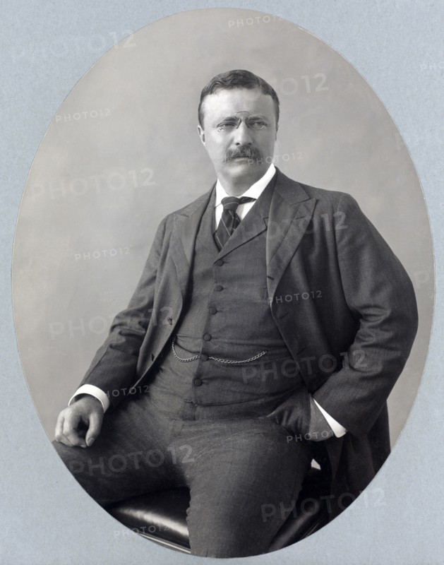 Theodore Roosevelt (1858-1919), 26th President of the United States 1901-09, Three-quarter Length Seated Portrait, Photograph by C.M. Bell, 1903